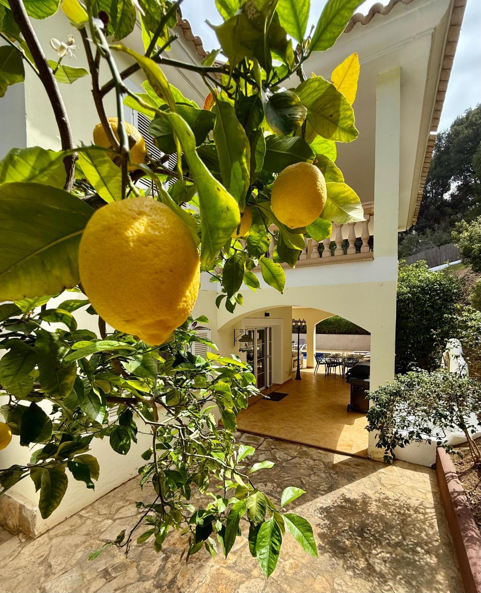 Poolvilla Patricia - Camp De Mar Andratx Εξωτερικό φωτογραφία
